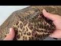 Tela para bañador con estampado animal